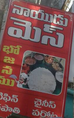 All south& north indian food