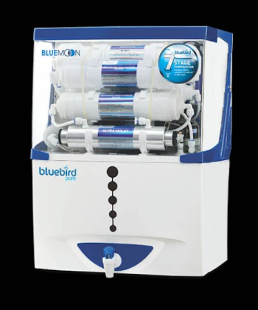 bluebird pure Bule Moon