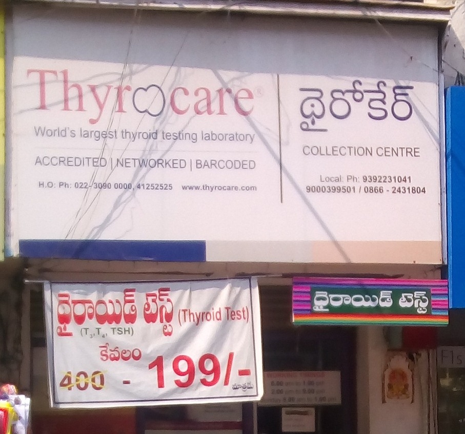 Thyroid Test 
