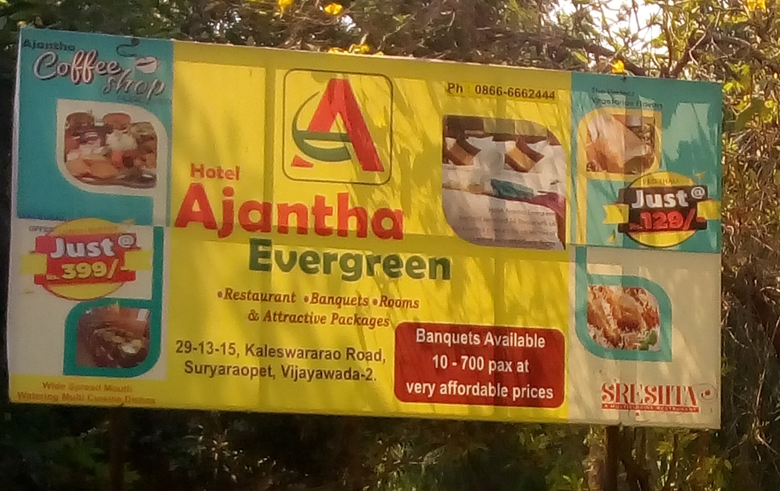 Multi Cuisine Dishes 