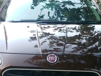 Car Hire 