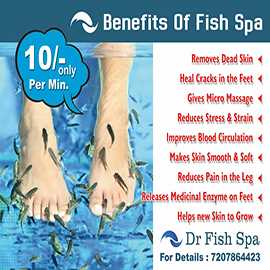 Fish Spa