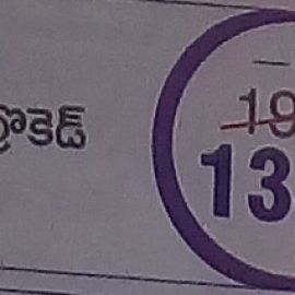 Kanchi Brokade