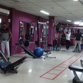 Yearly Membership 