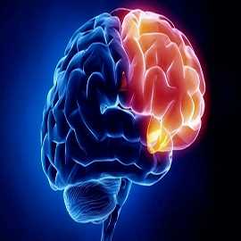 Neuro Specialist