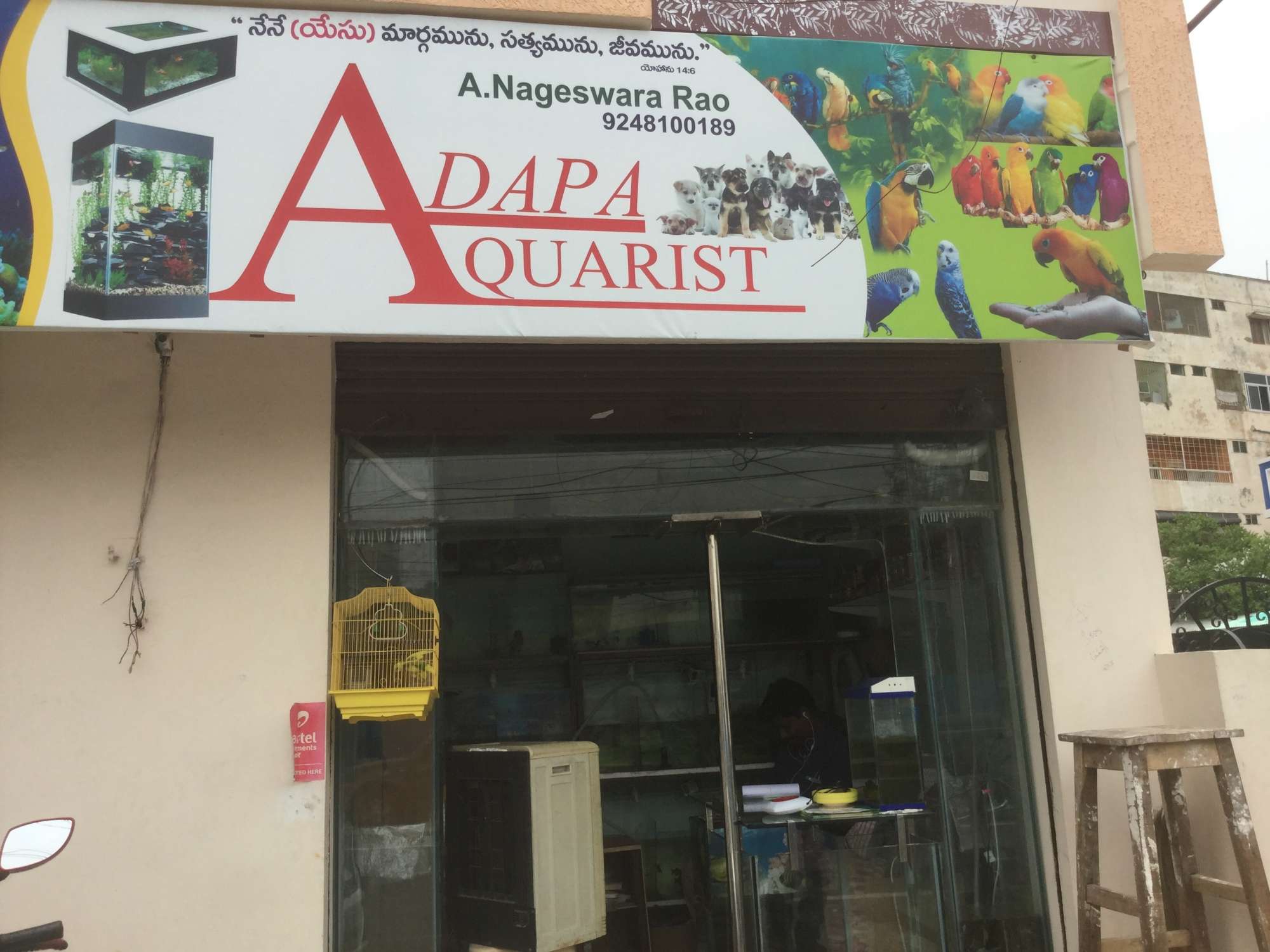 Adapa Aquarist