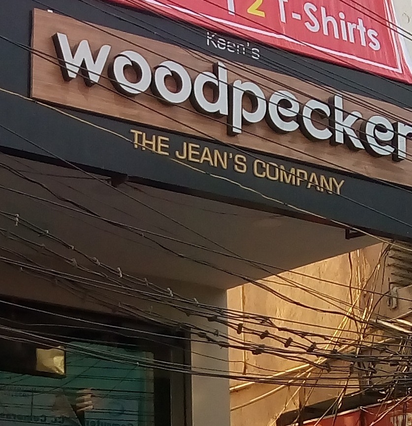 Woodpecker