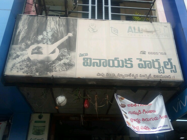 Vinayaka Herbals